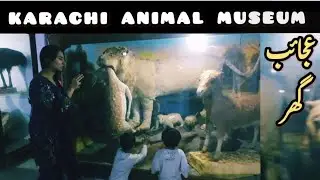 maria and tahir a Tour of Karachi Zoo Museum ] Dead Animals Museum Garden Karachi Pakistan #tmtalks