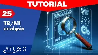 [25] T2/MI analysis