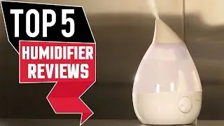 Humidifier: 5 Best Humidifier Reviews in 2021 | Top Rated Humidifier (Buying Guide)
