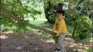 Nafi swinging on a Tree Branch…