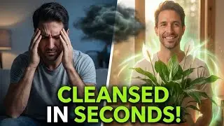 7 Indoor Plants That Cleanse Negative Energy Instantly