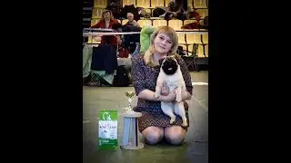 14.04.2018. Всероссийская выставка САС ЧФ . г.Сызрань