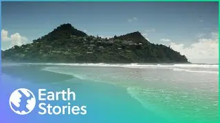 The Incredible Coastlines Of Auckland (Wildlife Documentary)
