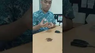 UJIAN PRAKTEK IPA MATERI ELEKTROMAGNETIK SMP 193 JAKARTA GIDEON MIRACLE S 9-A. No.Ujian: 2133400017