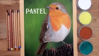 Drawing a robin with panpastel and pastel pencils /// realistic drawing timelapse