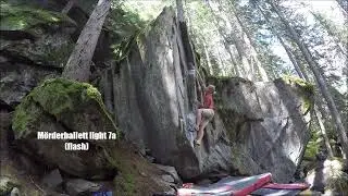 M&ouml;rderballet light, 7a . Magic Wood