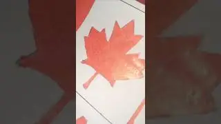 Canada Map - Part 4 #canada #flagdrawing  #canadian #map #mapdrawing #kanada