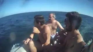 Gallego Team Feeling the Summer 2014