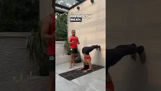 From Wimpy to Warrior: Building Shoulder Strength the Fun Way! #forrestyoga #dolphinpose #yoga
