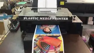 ECO Solvent for Epson L1800 A3+ printer and roll print RIP