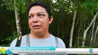 Sal a Pajarear Yucatan