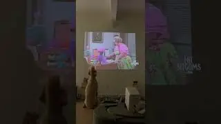 (Mostly) Eleanor Watching The Drew Carey Show
