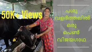 ഒരു മാതൃകാ പശു വളർത്തൽ ഫാം | Profitable Dairy Farm in Kerala by a woman entrepreneur - VLOG70