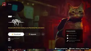 STRAY - Приключения кота в киберпанке - Первый запуск игры на PS5 1080p 60fps