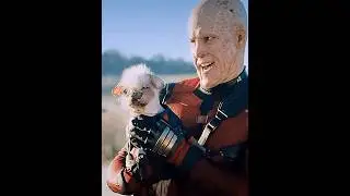 Deadpool meets Dogpool for the first time #shorts #viralvideo #trending #deadpool #deadpool3