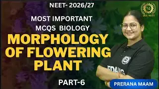 Morphology of Flowering Plants Part 6|NEET Biology Class 11|Prerana Ma&rsquo;am