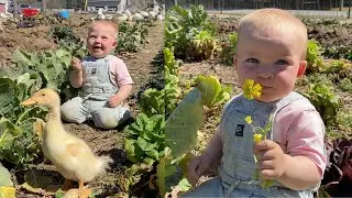 Ducklings & Bridgette Garden Tour!