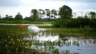 CASTING TOMAN !! Ditengah persawahan, sambarannya menggila,,pedalaman banyuasin sumatra selatan