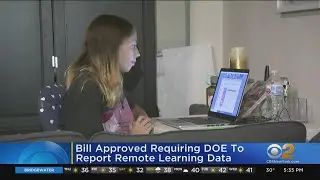 Bill Approved Requiring NYC Dept. Of Education To Report Remote Learning Data