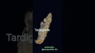 Tardigrade 😱 under microscope: #study #science #yt #medical #students #trending #viral #ytshorts