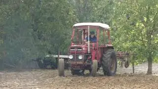 MASSEY FERGUSON 135