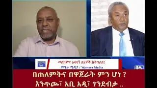 በጠለምትና በዋጅራት፣ ምን ሆነ ? እንጥጮ፣ አቢ አዲ፣ ገንደብታ ..#wamera  #ethiopiannews #ግርማካሳ