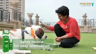 Bark Out Loud Natural Plant based Tick and Flea spray