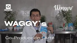Campa&ntilde;a | Waggy's CBD a HEMP