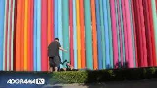 Vegas Wide Angle: You Keep Shooting with Bryan Peterson: Adorama Photography TV