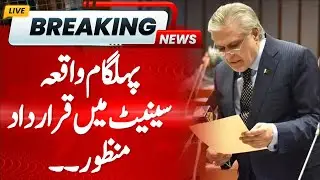 BREAKING: Senate passes resolution against India&rsquo;s bid to link Pakistan to Pahalgam attack