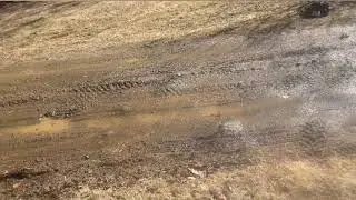 Traxxas Stampede (spring running)