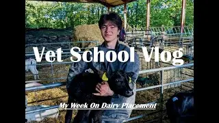 DAIRY PLACEMENT IS AWESOME!!! | Vet School Vlog