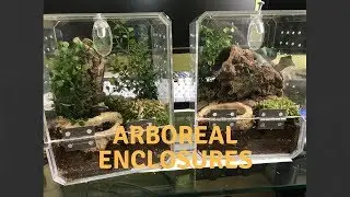 How I Make My Arboreal Enclosures
