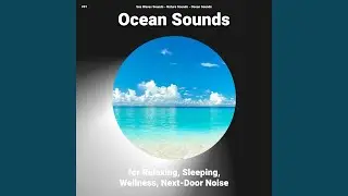 Reflective Sounds