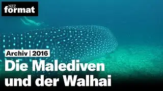 Die Malediven und der Walhai (2016)