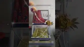 Wedding Tray Decoration Ideas| Multipurpose Wedding Tray|Wedding Gift Basket#shorts #weddingpacking