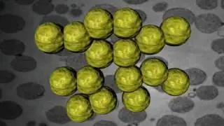 cellula artificiale.avi