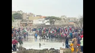 Désherbage cimetière de Pikine: Les images insupp0rt@ble, des t0mbes qui flottent sur l'eau