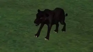 Second Life AniMesh PANTHER Gor-PANTHER  (Huntable or Peaceful)