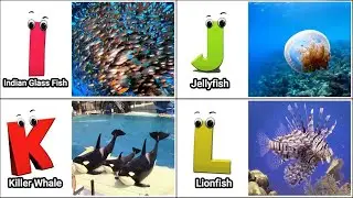 ABC Video for Toddlers | A to Z Alphabet with Sea Animals | Kids Learning Song
