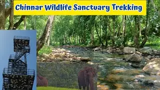 Chinnar Forest Trekking | Chinnar Wildlife Sanctuary Trekking | Munnar Tourist Places | Kerala