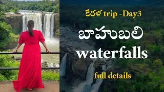 🏞️ Athirappilly Waterfalls & Scenic Stay | Kerala Family Trip Day 3 | Flora Misty Resort Review