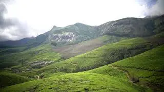 Beautiful hills and tea estate-Munnar