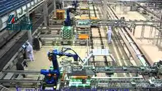 Video FAUNC Robot Palletizer for Case