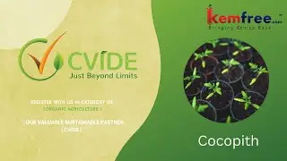 Our Valuable sustainable Partner 