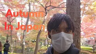 Autumn Ka Season Aaya🤩🤩 || Sab Jagah Aaj Ghum Lunga