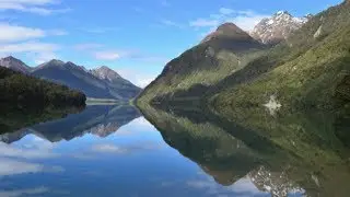 New Zealand Keas