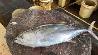 БЫСТРАЯ РАЗДЕЛКА ТУНЦА НА РЫНКЕ ТРАДИЦИОННОЙ РЫБЫ || ЭКСТРЕМАЛЬНЫЙ РЫБНЫЙ РЫНОК