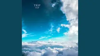 Trip VIP