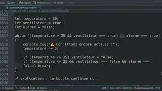👉 JavaScript : Comprendre && et || dans une boucle while (exemples pratiques) Part B